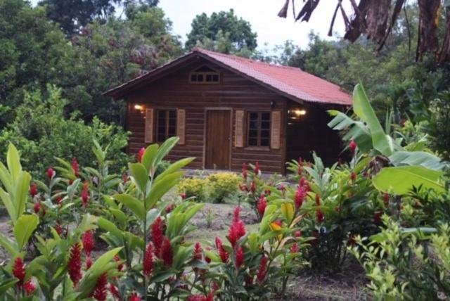 Hospedaje En El Lago San Pedro Sula Ngoại thất bức ảnh